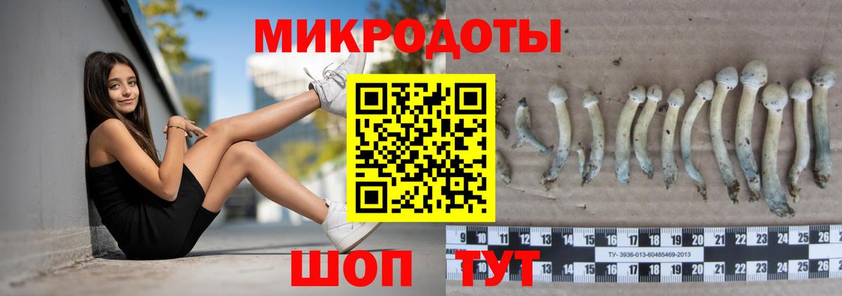 Псилоцибиновые грибы мухоморы  Вход с VPN  Санкт-Петербург 